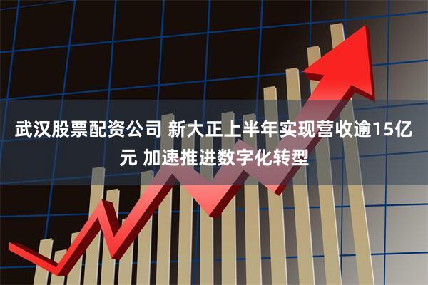 武汉股票配资公司 新大正上半年实现营收逾15亿元 加速推进数字化转型