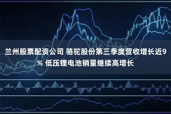 兰州股票配资公司 骆驼股份第三季度营收增长近9% 低压锂电池销量继续高增长