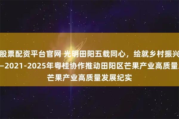 股票配资平台官网 光明田阳五载同心，绘就乡村振兴新图景——2021-2025年粤桂协作推动田阳区芒果产业高质量发展纪实