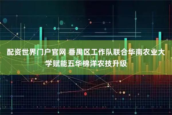 配资世界门户官网 番禺区工作队联合华南农业大学赋能五华棉洋农技升级
