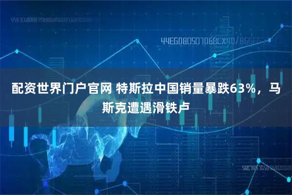 配资世界门户官网 特斯拉中国销量暴跌63%，马斯克遭遇滑铁卢