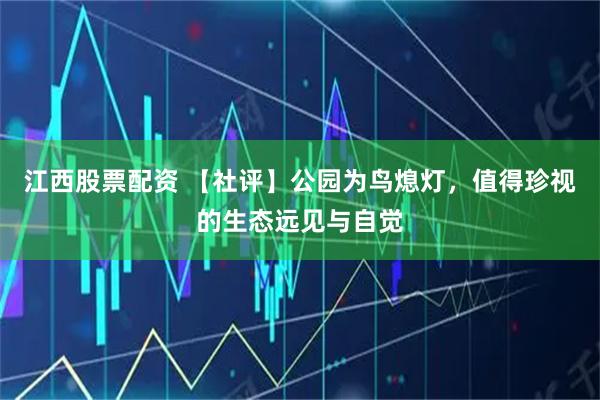 江西股票配资 【社评】公园为鸟熄灯，值得珍视的生态远见与自觉